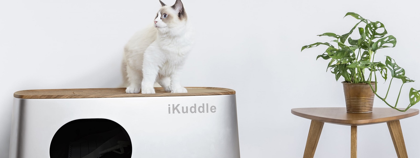 iKuddle Auto-Pack - перший в світі самоочищувальний котячий туалет